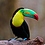 sunil_cn